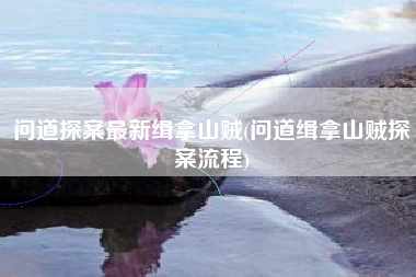 问道探案最新缉拿山贼(问道缉拿山贼探案流程)