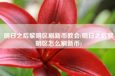 明日之后黎明区刷新币教会(明日之后黎明区怎么刷新币)