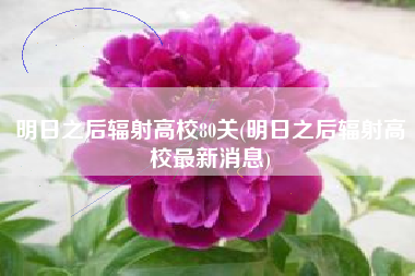明日之后辐射高校80关(明日之后辐射高校最新消息)