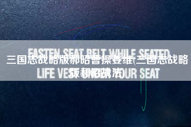 三国志战略版郝昭曹操姜维(三国志战略版郝昭战法)