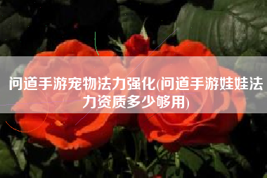 问道手游宠物法力强化(问道手游娃娃法力资质多少够用)