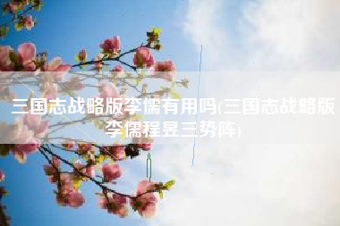 三国志战略版李儒有用吗(三国志战略版李儒程昱三势阵)