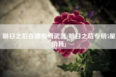 明日之后在哪专研武器(明日之后专研5星消耗)