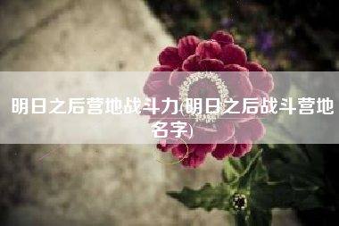 明日之后营地战斗力(明日之后战斗营地名字)