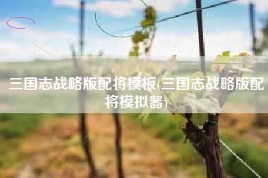 三国志战略版配将模板(三国志战略版配将模拟器)