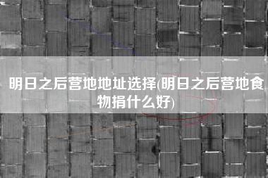 明日之后营地地址选择(明日之后营地食物捐什么好)