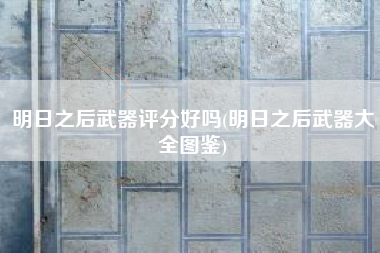 明日之后武器评分好吗(明日之后武器大全图鉴)