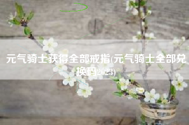 元气骑士获得全部戒指(元气骑士全部兑换码2023)