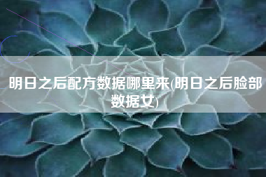 明日之后配方数据哪里来(明日之后脸部数据女)