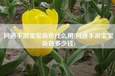 问道手游宝宝染色什么用(问道手游宝宝染色多少钱)