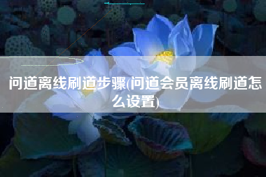 问道离线刷道步骤(问道会员离线刷道怎么设置)