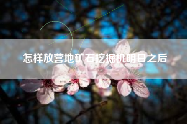 怎样放营地矿石挖掘机明日之后