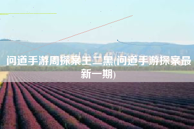 详细阅读:问道手游周探案王二黑(问道手游探案最新一期) 问道手游周探案王二黑(问道手游探案最新一期)