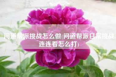 问道帮派挑战怎么做(问道帮派日常挑战连连看怎么打)