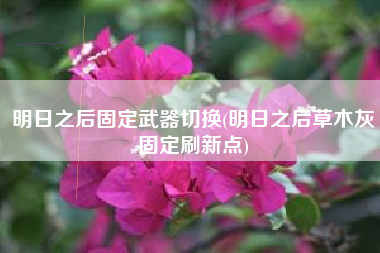 明日之后固定武器切换(明日之后草木灰固定刷新点)