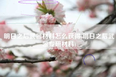 明日之后武器材料怎么获得(明日之后武器专研材料)