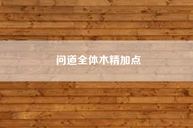 问道全体木精加点