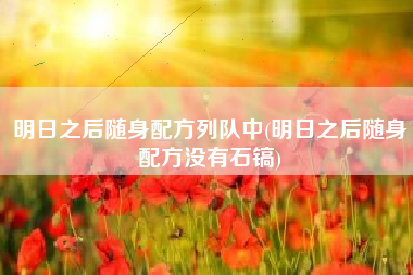 明日之后随身配方列队中(明日之后随身配方没有石镐)