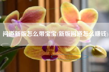 问道新版怎么带宝宝(新版问道怎么赚钱)