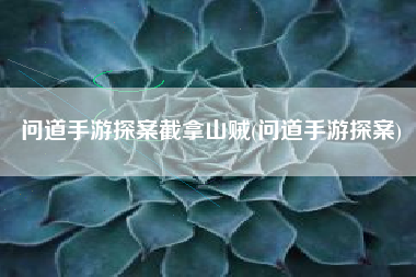 问道手游探案截拿山贼(问道手游探案)