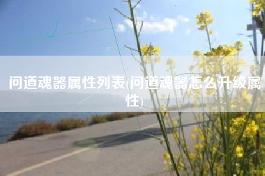 问道魂器属性列表(问道魂器怎么升级属性)