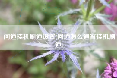 问道挂机刷道设置(问道怎么通宵挂机刷道)