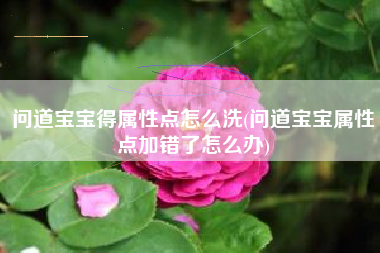 问道宝宝得属性点怎么洗(问道宝宝属性点加错了怎么办)