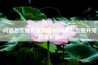 问道怎么提升宠物成长(问道怎么提升宠物成长值)