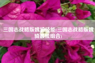 三国志战略版魏骑技能(三国志战略版魏骑最佳组合)