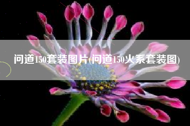 问道150套装图片(问道150火系套装图)