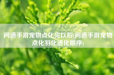 问道手游宠物点化完以后(问道手游宠物点化羽化进化顺序)