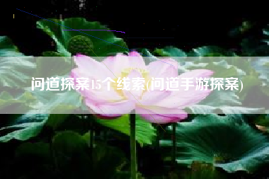 问道探案15个线索(问道手游探案)